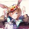 Amiya-皮